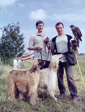 �����, ���������, ��������� ������.