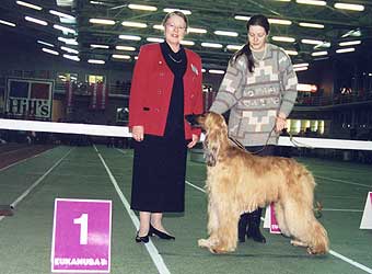 �����, ���������, ��������� ������.