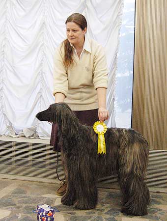 �����, ���������, ��������� ������.