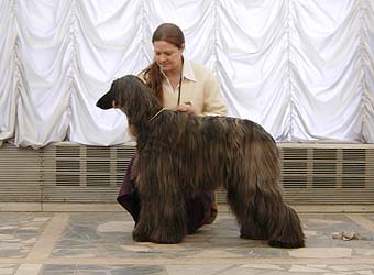 �����, ���������, ��������� ������.