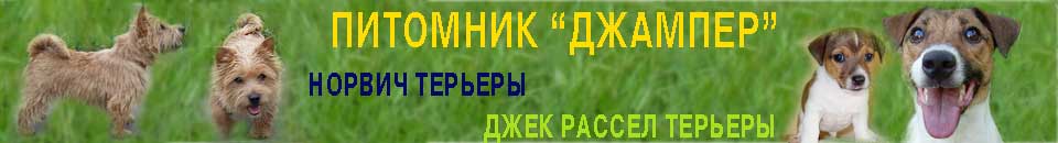 �������� ������� - ������ ������, ���� ������ ������ (�����, �����).