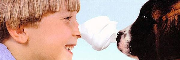 ��������� ��� �������� Iv San Bernard