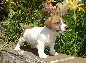 ���� ������ ������ �����