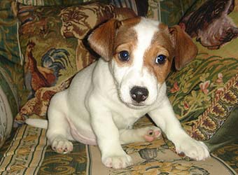 ����� ������ ���� ������ ������