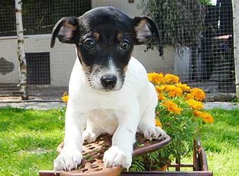 ���� ������ ������ �����