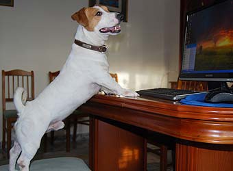 ���� ������ ������