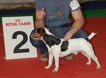 ���� ������ ������ �� ��������