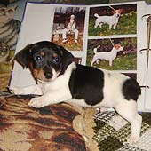 ����� ���� ������ �������