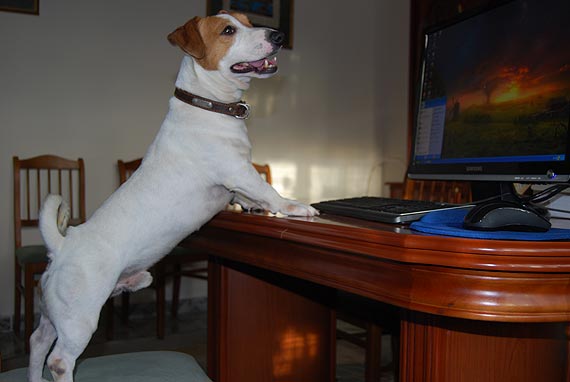 ���� ������ ������