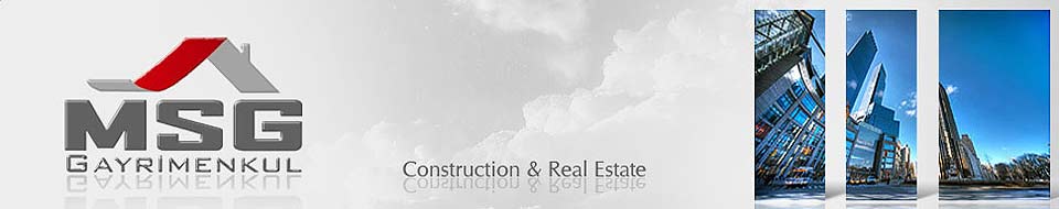 MSG GROUP ������������, �������������-�������������� ��������, ������ �. �������.