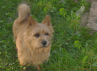 ������ ������.