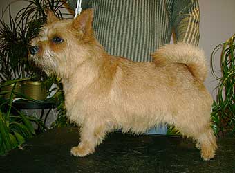 ������ ������.