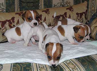 ���� ������ ������.