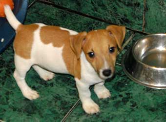 ���� ������ ������.