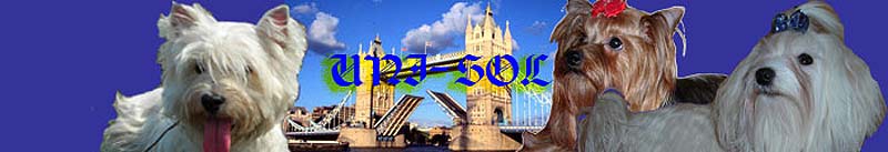 �������� Uni-Sol ����������� ������� � ��������