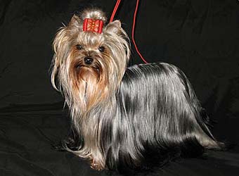 �������� Uni-Sol ����������� ������