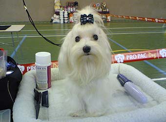 �������� Uni-Sol �������