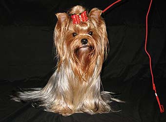 �������� Uni-Sol ����������� ������