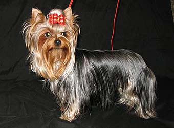 �������� Uni-Sol ����������� ������