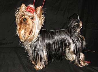 �������� Uni-Sol ����������� ������