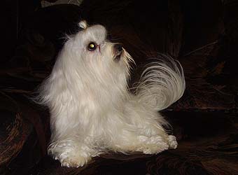 �������.