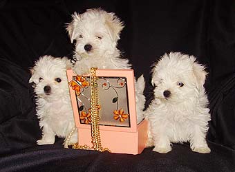 �������.