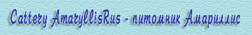 >Cattery AmaryllisRus -  