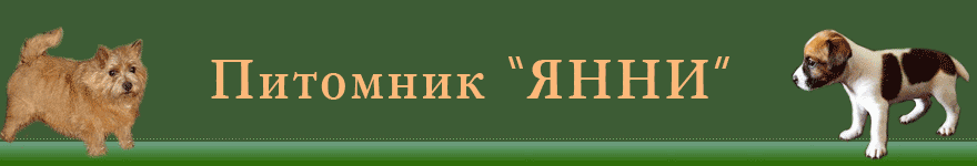 �������� ����.